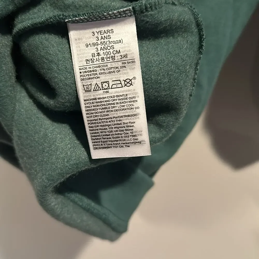 babyGAP 3T Green Mockneck Sweatshirt‎ Dress